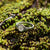 Sterling Silver Hummingbird Ring 2 Hummingbird Rings Gift Rings Hummingbird Jewelry