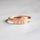 products/925-sterling-silver-pet-ring-dog-ring-cat-ring-dog-and-cat-animal-ring-gifts-for-animal-lovers-animal-ring-romanticwork-style-b-rose-gold-659283.jpg