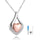 products/cremation-jewelry-925-sterling-silver-teardrop-urn-necklace-for-ashes-heart-shape-memorial-keepsake-pendant-for-human-ashes-for-women-gift-urn-necklace-romanticwork-rose--446230.jpg