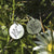 Flower Earrings 925 Sterling Silver Wildflowers Drop Earrings Gift For Nature Lovers Nature Earrings romanticwork 