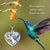 Hummingbird Cremation Urn Necklace for Ashes Human Keepsake Memorial Jewelry for Women romanticwork 
