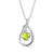 925 Sterling Silver Urn Pendant Necklaces for Ashes 12 Birthstones Cubic Zirconia Teardrop Keepsake Cremation Jewelry Women Memorial Gifts