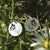 S925 Sterling Silver Butterfly Bee Earrings Nature Jewelry Gifts For Women Girls Nature Earrings Romanticwork Jewelry 