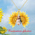 Sterling Silver You are My Sunshine Sunflower Photo Necklace for Mom Women Sunflower Locket Pendant Necklace flower/photo necklace enjoy life creative gold 
